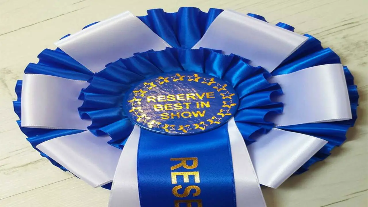 Reserve Best In Show Ribbon