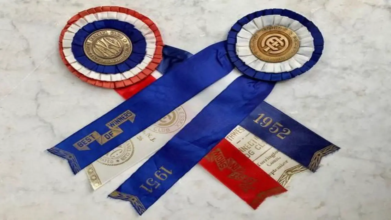 The Top 7 Most Prestigious Dog Show Ribbons To Strive For