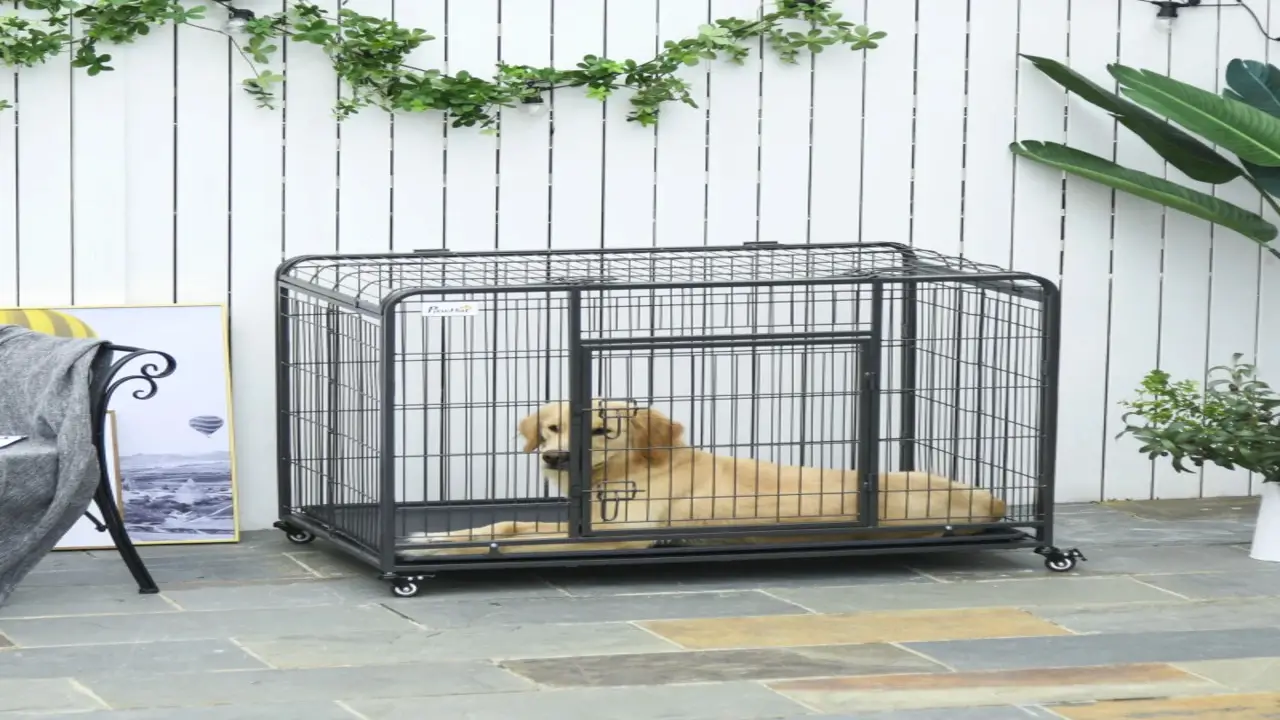 Tips For Successful Crate Training With Multiple Crates