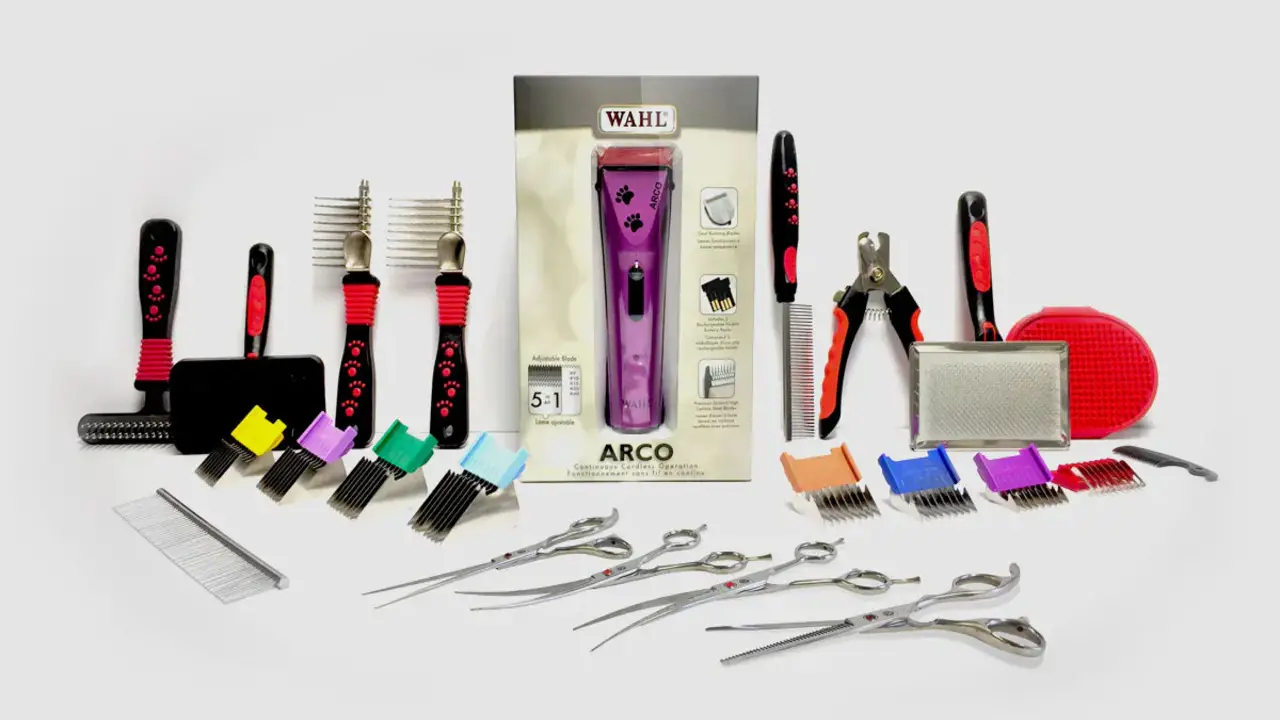 Tools And Supplies Needed For Grooming A Schillerstövare Dog