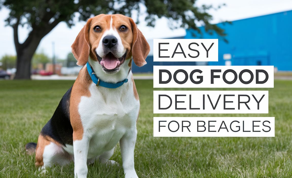 Easy Dog Food Delivery For Beagles