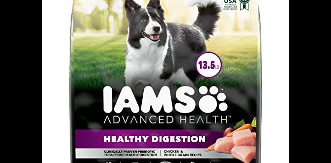 for digestion cheap dog food for small breeds for digestion cheap dog food for small breeds