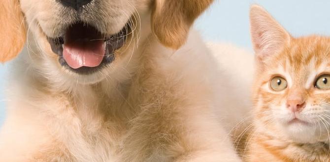 pet and dog ideas 2025 pet and dog ideas 2025